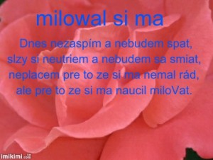 Obrázok